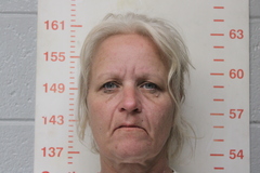 Mugshot of JARNAGIN, SHANNON MARIE 