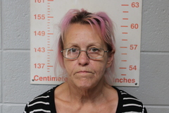 Mugshot of SHAW, JOANNE MARIE 