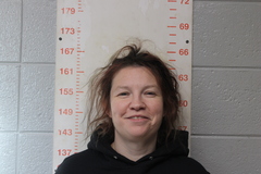 Mugshot of PERSINGER, BRITTANY NICHOLE 