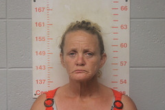 Mugshot of WRIGHT, WANDA REBECCA 