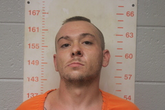 Mugshot of PULIS, MICHEAL LEVI 