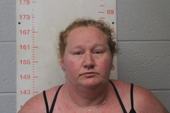 Mugshot of WILLIAMS, VIVIAN RACHEL 